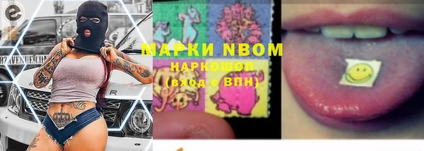 прущие грибы Инсар