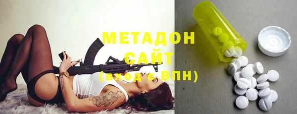 прущие грибы Инсар