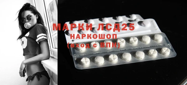 прущие грибы Инсар