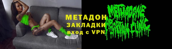 прущие грибы Инсар