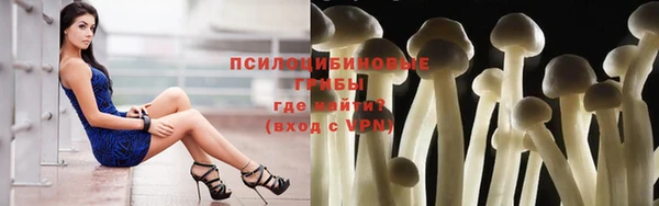 крисы Иннополис