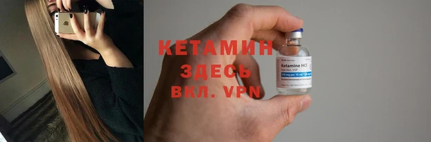 прущие грибы Инсар