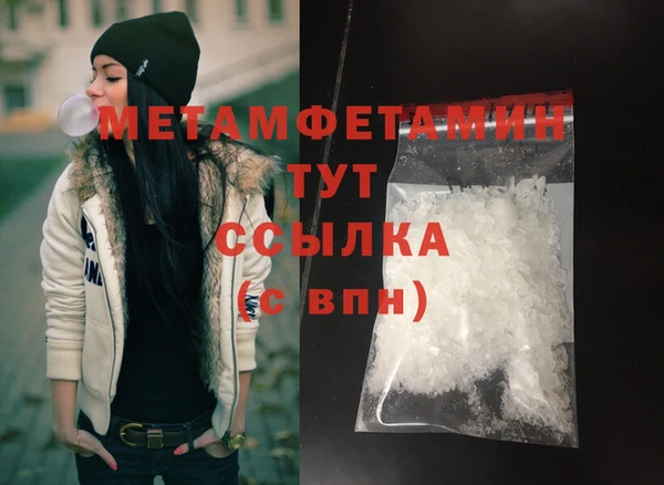 прущие грибы Инсар