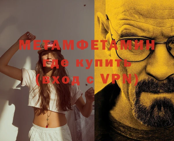 прущие грибы Инсар