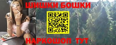 винт Сланцы