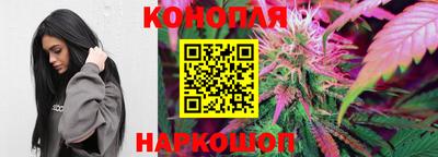 винт Сланцы