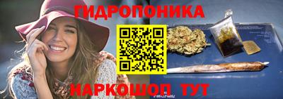 винт Сланцы