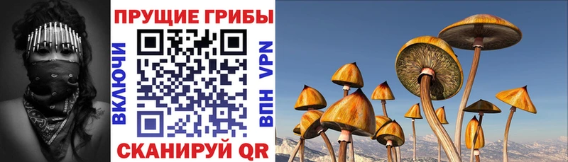 Галлюциногенные грибы Cubensis где найти MEGA tor Арзамас