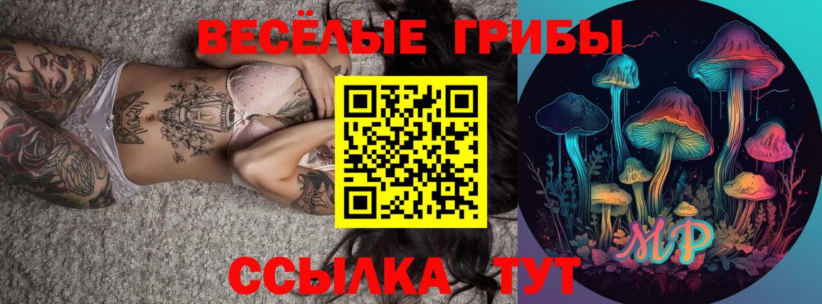 Арзамас  Галлюциногенные грибы ЛСД  Вход с VPN 